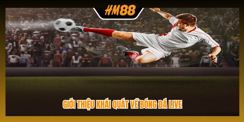 Giới thiệu khái quát về bóng đá live